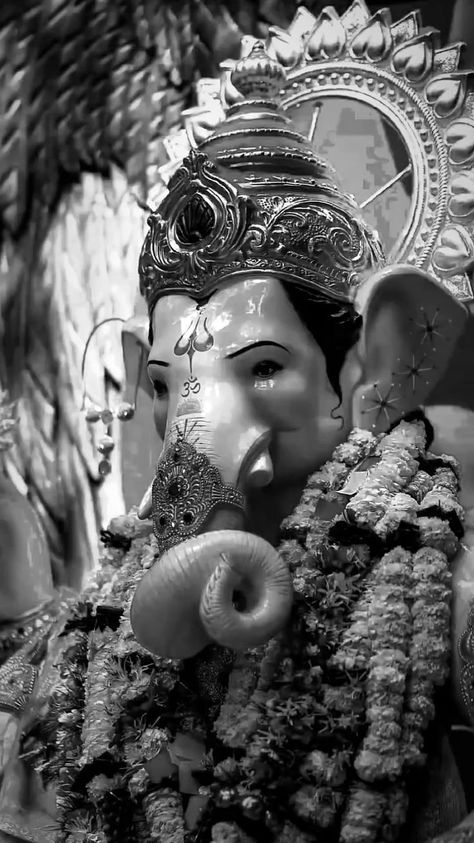 ganesh chaturthi | ganesh chaturthi video status festive #bappa2023 Ganesh Chaturthi Video, Ganesh Pic, Vintage Indian Fashion, Ganesh Chaturthi Photos, Ganesh Chaturthi Status, Photos Of Ganesha, Ganpati Bappa Wallpapers, Ganpati Bappa Photo, Happy Ganesh Chaturthi Images