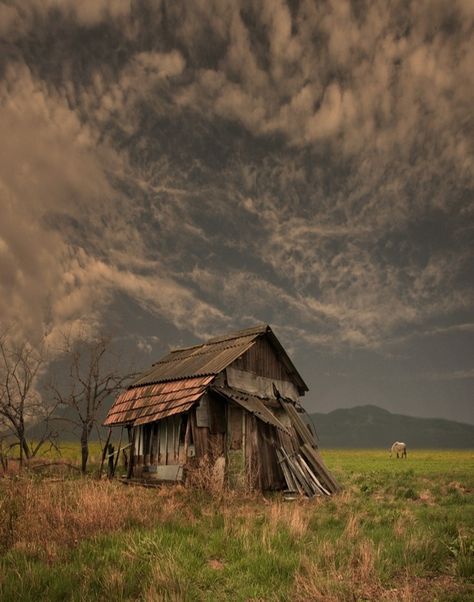 Forgotten Old Farm House Old Shack, Nature Scape, Farmhouse Pictures, Vintage Village, Barn Pictures, Abandoned Homes, Mailbox Decor, Web Security, Old Abandoned Houses