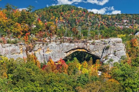 Daniel Boone National Forest Camping: 11 Top Campsites & More Kentucky Landscape, Kentucky Camping, Monongahela National Forest, Daniel Boone National Forest, Mammoth Cave National Park, Great American Road Trip, Forest Camp, National Park Camping, Red River Gorge