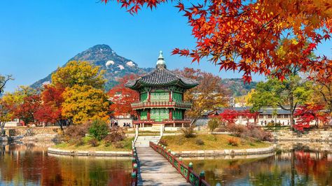 Korea Holiday, Luxury Beach Vacation, South Korea Landscape, Korea Landscape, Safari Vacation, Best Vacation Destinations, Adventure Vacation, Vacation Deals, Safari Tour