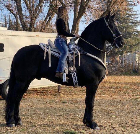 Mexican Rodeo, Takuache Girl Outfits, Percheron Horses, Friesian Horses, Cute Cowgirl Outfits, Cowgirl Style Outfits, Quinceanera Dresses Blue, Latina Fashion Outfits, Mexican Outfit