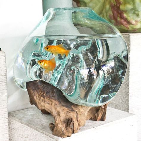 20 Amazing Wood Roots Furniture For Your Decor | Home Design And Interior Cool Fish Tanks, Mini Aquarium, Glass Pot, Smart Tiles, Deco Nature, Aquarium Design, Eco Friendly Decor, Garden Terrarium, Terrarium Diy