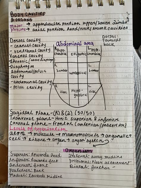 Anatomy And Physiology Notes Study, Anatomy And Physiology Notes, Surgical Technologist Student, Diagnostic Medical Sonography Student, Physiology Notes, Emt Study, Sonography Student, Medical Assistant Student, Diagnostic Medical Sonography