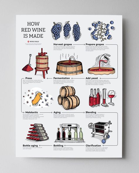 How Red Wine is Made Step by Step | Wine Folly Wine Tasting Notes, Wine Folly, Wine Map, Wine Education, Wine Poster, Wine Guide, First House, Wine Food Pairing, Wine Pairing