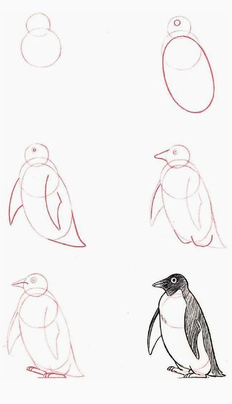 Publicare bases de dibujos y muchas cosas más.  #1 Mejoras 15/02/20  … #detodo # De Todo # amreading # books # wattpad How To Draw Penguins, 3d Drawings, Bird Drawings, Drawing Lessons, Drawing Tips, Pencil Art, Drawing Techniques, Art Drawings Sketches, Learn To Draw