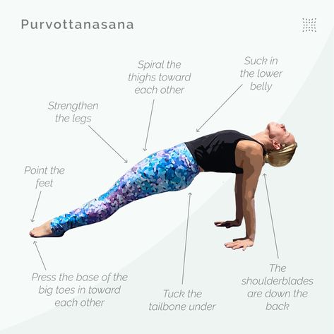 Yoga Knowledge, Reverse Plank, Yoga Styles, Yoga Teacher Resources, Hip Opening Yoga, 16 Wallpaper, Morning Workout Routine, Full Body Training, Beginner Ab Workout