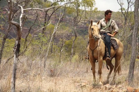 ★ℒ ★ Brumby Horse, Horse Wrangler, Horse Bust, James Stacy, Nat Geo Wild, Australian Army, Helicopter Pilot, Science Centre, Horse Feed