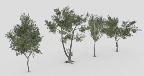 Conocarpus Tree, Low Poly 3d, Low Poly, I Tried, Plants