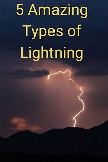 Lightning Striking Tree, Types Of Lightning, Storm Witch, Lightning Weather, Lightning Safety, Ball Lightning, Lightning Photos, Lightning Storms, Lightning Cloud