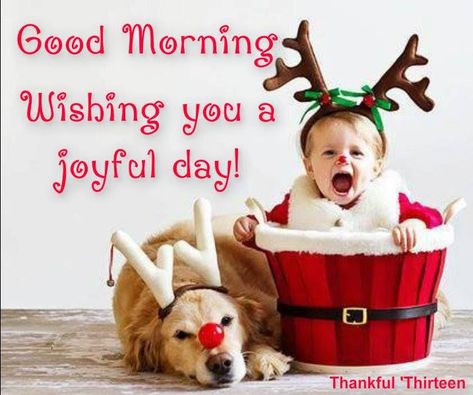 Good Morning Seasonal                                                                                                                                                                                 More Good Morning Christmas, Good Morning Winter, Morning Christmas, Good Morning Smiley, Morning Quotes For Friends, Good Morning Quote, Morning Morning, Good Morning World, Cute Good Morning