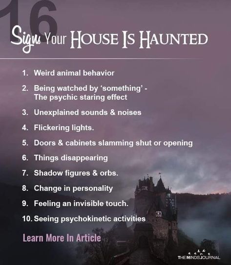 Paranormal Facts, Haunted House Stories, Spirit Ghost, Scary Facts, Creepy Facts, Paranormal Investigation, Paranormal Activity, In The Darkness, Ghost Hunting