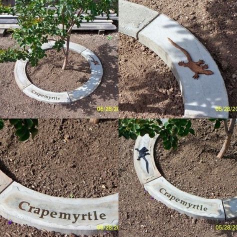 Cement Tree Rings~Love the idea of making this for memorial trees, too. Concrete Edging Ideas, Tree Ring Ideas, Concrete Tree, Rings Tutorial, Tree Identification, Rings Diy, Memory Tree, Tree Ring, Diy Concrete