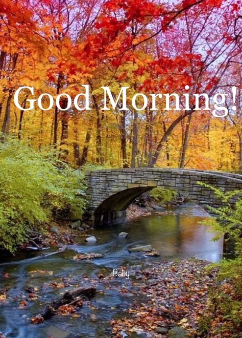 Good Morning Fall, Weekend Greetings, In Loving Memory Quotes, Morning Quotes For Friends, Daily Greetings, Good Morning Funny Pictures, Happy Morning Quotes, Good Morning Beautiful Pictures, Morning Funny