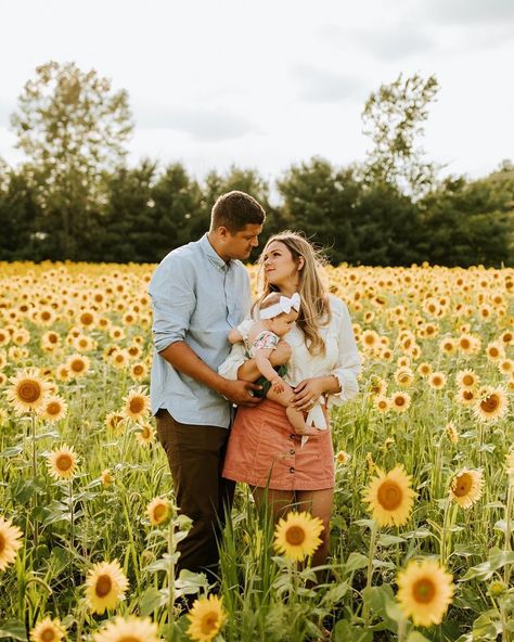 Sunflower Family Pictures Newborn, Sunflower Patch Family Pictures, Sunflower Pictures Photography Family, Sunflower Family Photos, Family Photos Sunflower Field, Family Sunflower Photoshoot, Sunflower Field Photoshoot Family, Sunflower Family Pictures, Sunflower Shoot