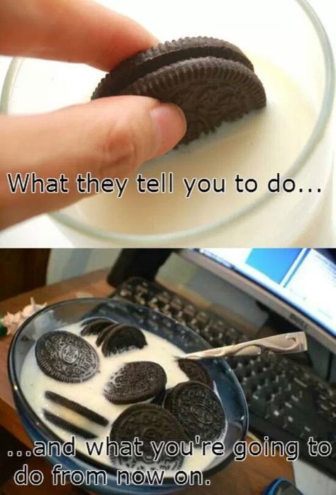 . Oreo Meme, Oreo Cereal, Oreo Biscuits, Oreo Cookie, Clean Humor, Funny Bunnies, How To Make Breakfast, Oreo Cookies, Useful Life Hacks