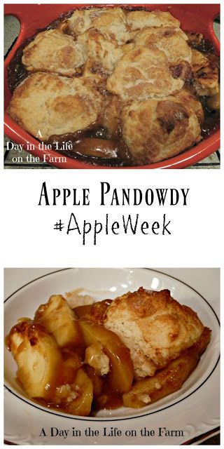 Apple Grunt Recipe, Apple Pan Dowdy Recipes, All Recipes Country Apple Dumplings, Apple Pandowdy Cooks Country, Apple Pandowdy Recipe, Pandowdy Recipe, Grated Apple Pancakes, Apple Pandowdy, Cardamom Recipe