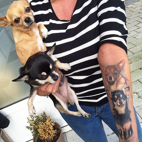 Tatt healed! Got the chance to get a pic with the dogs 😉 … | Flickr Pet Memorial Ideas Dogs, Tatoo Dog, Chihuahua Tattoo, Dogs Tattoo, Dog Memorial Tattoos, Theme Tattoo, Small Dog Clothes, Chihuahua Lover, Cute Chihuahua