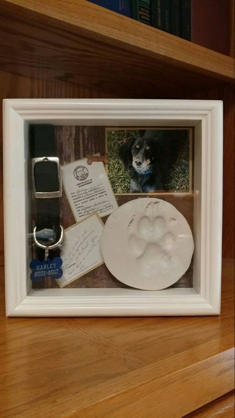 Pet Memorial Ideas Dogs, Dog Shadow Box, Pet Keepsake, Pet Remembrance, Dog Rooms, Dog Memorial, Pet Memorial, Pet Loss, Diy Dog Stuff