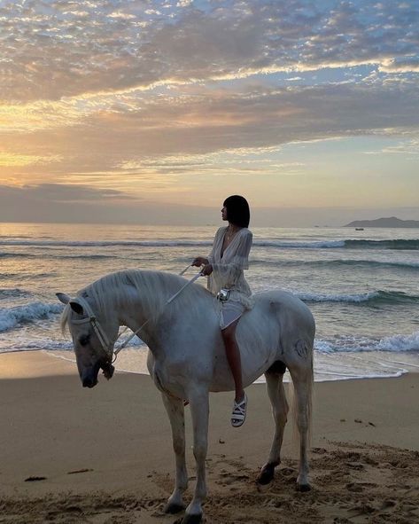 Noriker Horse, Riding Into The Sunset, Horse Girl Aesthetic, Beach Horseback Riding, Aesthetic Horse, Beach Girl Aesthetic, Girl Horse, Equestrian Aesthetic, Stay Blessed