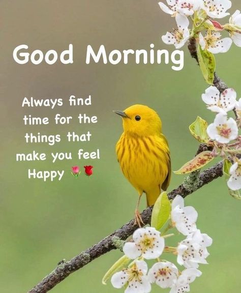 Positive Good Morning Quotes And Images 120 Birds Good Morning Quotes, Good Morning Birds Images, Good Morning Greeting Cards, Beautiful Morning Quotes, Cute Good Morning Images, Good Morning Sunshine Quotes, Happy Morning Quotes, Good Morning Nature, Good Morning Flowers Quotes