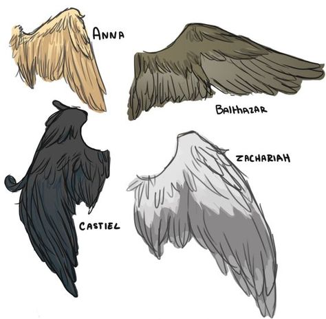 Angel's Wings (1/3)- Anna, Balthazar, Castiel, and Zachariah: Angel Wings Drawing Reference, Supernatural Angel Wings, Wings Drawing Reference, Castiel Wings, Arc Angel, Aesthetic Doodles, Castiel Angel, Supernatural Fanart, Supernatural Drawings