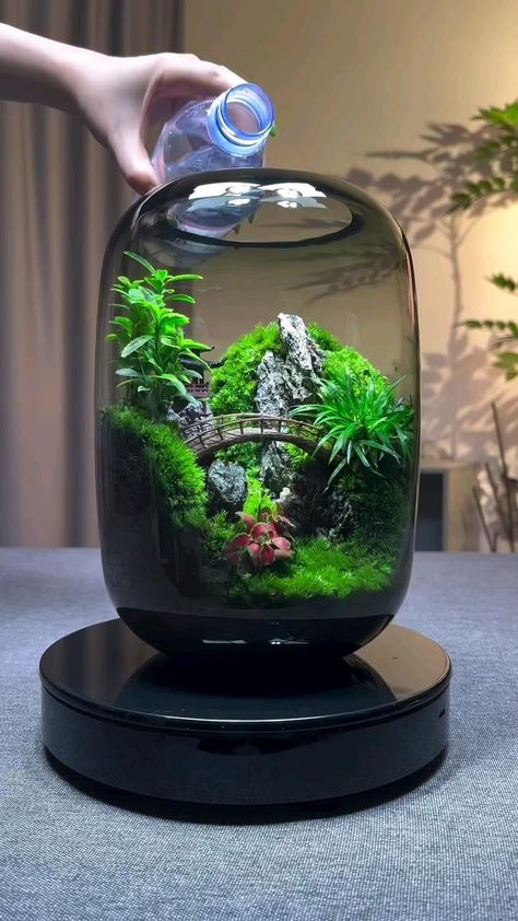 Mini Aquarium Design, Aquascape Mini, Aquarium Mini, Bonsai Terrarium, Miniature Zen Garden, Tank Terrarium, Bottle Terrarium, Fish Pond Gardens, Diy Succulent Terrarium