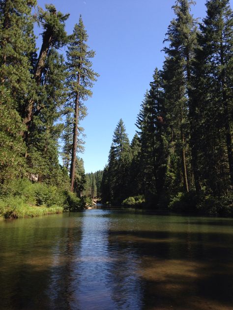 American River American Forest Aesthetic, Moose Blood, American Wilderness, American Nature, Story Board, America And Canada, Nature Aesthetic, Get Outside, Amazing Nature