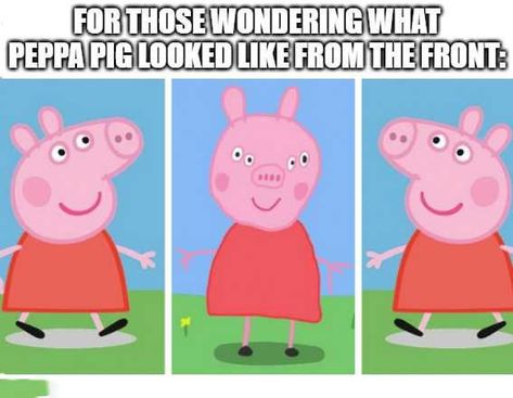 Pig Meme, Peppa Pig Memes, Peppa Pig Funny, Peppa Pig Wallpaper, Tv Memes, Dora Funny, Best Friend Quiz, Friend Quiz, Pig Pictures