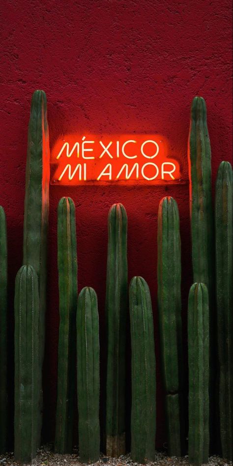 Mexican Wallpaper Aesthetic, Mexican Wallpaper, Mexican Restaurant Decor, Mexico Wallpaper, Mexican Culture Art, Spring Wallpaper, Images Esthétiques, Gongs, Mexican Culture