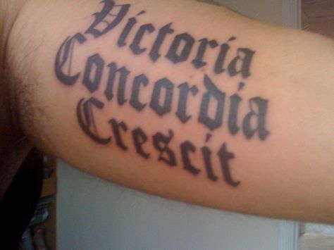 Arsenal FC motto: "Victoria, Concordia, Crescit." In english this means victory comes through harmony. Victoria Concordia Crescit Tattoo, Victoria Concordia Crescit, Arsenal Tattoo, Arsenal Fc Wallpapers, Im A Survivor, Arsenal Football Club, Arsenal Football, Arsenal Fc, Tattoos Ideas