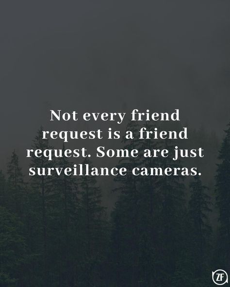 Not every friend request is a friend request. Some are just surveillance cameras. Surveillance Cameras, Travel And Leisure, Entertainment News, Quotes