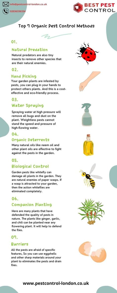 Instead of using chemicals to kill the living organisms, you can make use of these top and best organic methods to avoid and control their presence in your place. Living Organisms, Organic Pest Control, Best Pest Control, Garden Insects, Natural Pest Control, Neem Oil, Garden Pests, Oil Plant, Companion Planting