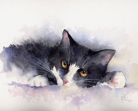 Tuxedo Cat Art, Cats Watercolor, Black And White Cats, Cat Art Illustration, Image Chat, Advocate Art, Cat Artwork, Watercolor Cat, Tuxedo Cat