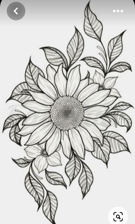 Sunflower Illustration, Sunflower Drawing, Desen Anime, Flower Art Drawing, 흑백 그림, Wood Burning Patterns, Pola Sulam, Wood Burning Art, Stencil Art