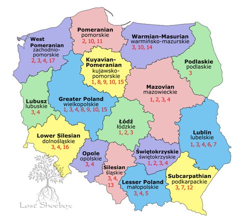 German Ancestry, Polish Foods, Genealogy Map, Free Genealogy Sites, Genealogy Ideas, Polish Traditions, Genealogy Help, Genealogy Websites, Ancestry Family Tree