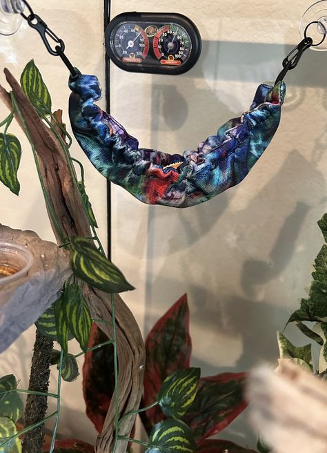 👀Someone loves his new hammock😂 Crested Geckos, Crested Gecko, Terraria, Gecko, Hammock, Terrarium, Love Him, Pins, Quick Saves