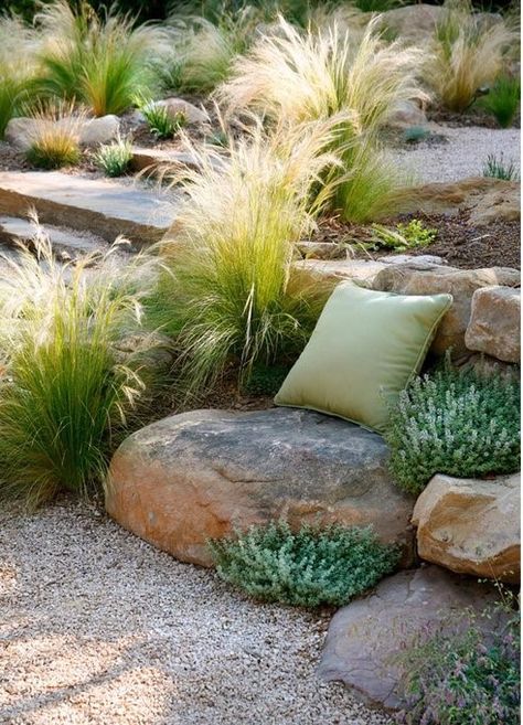 Amazing Landscaping Ideas, Australian Native Garden, Landscaping Inspiration, Grasses Landscaping, Grasses Garden, Rock Garden Landscaping, Garden Types, Have Inspiration, Mediterranean Garden