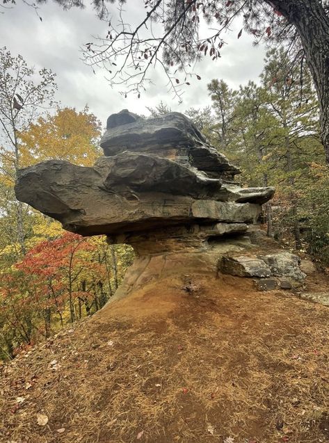 Travel Kentucky, Kentucky Photography, Red River Gorge Kentucky, Kentucky Attractions, Pictures Of Rocks, Architecture Reference, Kentucky Travel, Sky Bridge, Red River Gorge