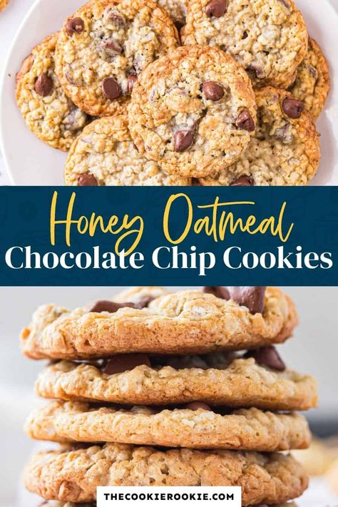 Chocolate Chip Cookies With Honey, Best Oatmeal Chocolate Chip Cookies, Oatmeal Chocolate Chip Cookies Recipe, Honey Oatmeal Cookies, Recipe Using Honey, The Best Oatmeal, Oatmeal Chocolate Chip Cookie Recipe, Honey Chocolate, The Cookie Rookie