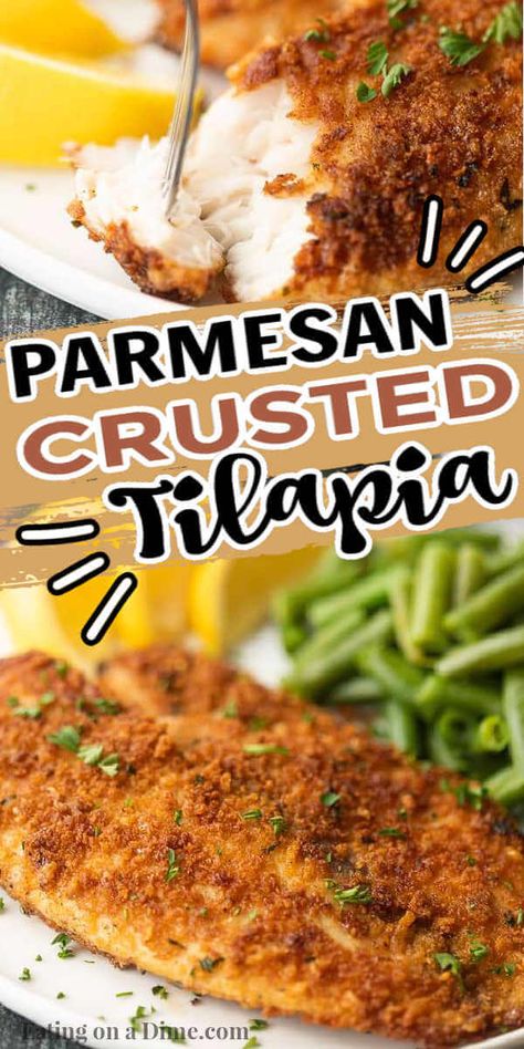 Battered Tilapia Recipes, Talipia Recipes Skillet, Tilipa Recipes, Ways To Cook Tilapia, Fried Tilapia Recipes, How To Cook Tilapia, Breaded Tilapia, Tilapia Recipes Easy, Baked Tilapia Recipes