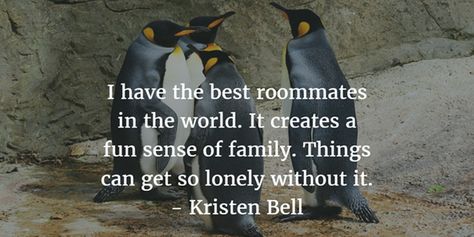 What I love most about my room is who I share it with.  #roommate #Roomie #Quotes Roomates Quotes, Roommates Quotes, Roommate Quotes, Finland House, Aesthetic Captions, Time To Live, Time Quotes, 2024 Vision, My Room