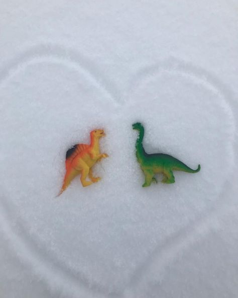 Dinosaurs Aesthetic, Dinosaur Pfp, Aesthetic Dinosaur, Dinosaur Aesthetic, Plastic Dinosaurs, I Love My Girlfriend, After Life, I Think Of You, Foto Ideas Instagram