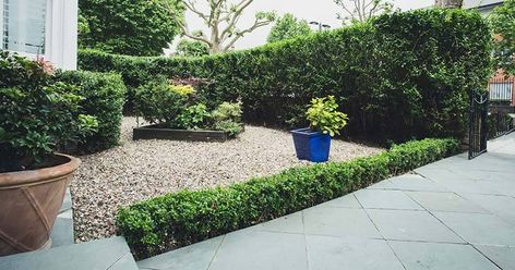 Front Garden Ideas Uk, Garden Design Ideas Uk, Front Garden Ideas, Garden Ideas Uk, Small Front Gardens, Cheap Landscaping Ideas, Garden Hedges, Front Gardens, Front Garden Landscape