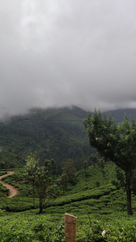 Munnar Aesthetic, Kenyan Aesthetic, Munnar Photography, Nature Asthetics, Kerala Munnar, Dreamy Nature, Indian Garden, Mountains Aesthetic, Travel Infographic