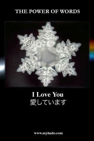 Masaru Emoto “I love you” Masaru Emoto Water, Hidden Messages In Water, Quantum Physics Spirituality, Crystal Mandala, Masaru Emoto, Water Experiments, The Power Of Words, Power Of Words, Everything Is Energy