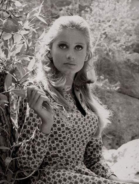 30 Gorgeous Photos of Jill Ireland in the 1950s and ’60s ~ Vintage Everyday Jill Ireland, Yvonne De Carlo, Tina Louise, Daniel Boone, Charles Bronson, Mod Girl, Tv Westerns, Hollywood Boulevard, Catherine Deneuve