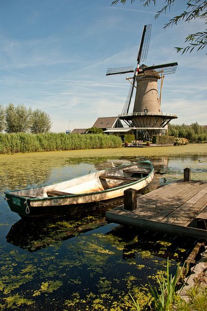 Netherlands Countryside, Windmill Images, Windmill Water, Holland Windmills, Wind Mills, Old Windmills, South Holland, Amsterdam Holland, Holland Netherlands