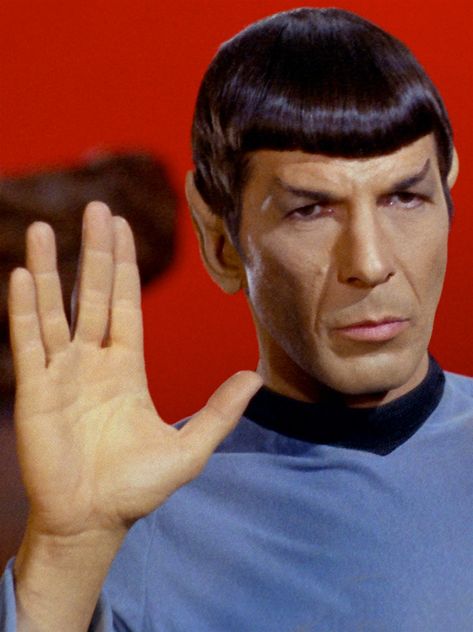 Spock Star Trek, Star Trek Actors, Star Trek Crew, Star Fleet, Star Trek 1966, Mr Spock, Star Trek Original Series, Star Trek Images, Star Trek Characters