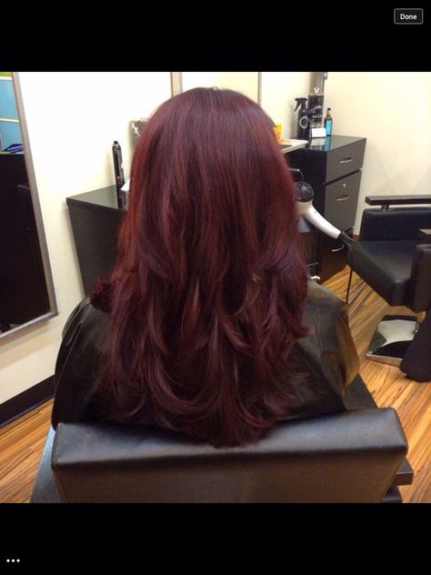 Red velvet cake Red Velvet Cake Hair Color, Red Velvet Highlights, Red Velvet Balayage Hair, Cherry Red Hair With Layers, Dark Wine Red Hair Aesthetic, Cherry Red Hair, Wine Red Hair, Wine Hair, Red Hair Inspo