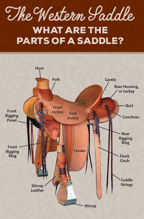 Western Saddle Types, Parts Of A Saddle, Parts Of A Western Saddle, Types Of Saddles, Farm Worksheet, Pack Saddle, Saddle Making, Texas Traditions, Western Horse Saddles